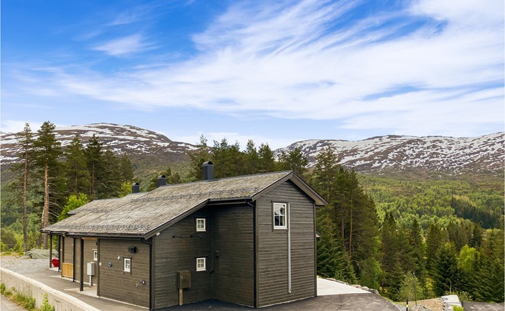 Amazing home in Nordfjordeid with WiFi 1