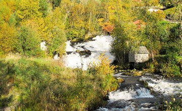 Rote Kabine (FJH774) 3