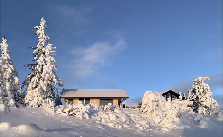 Amazing home in Sjusjøen with kitchen 1