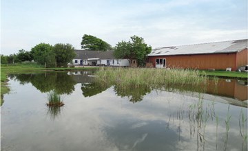 Gorgeous home in Bramming with sauna 2