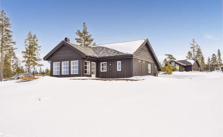 3 bedroom amazing home in Jaren 1
