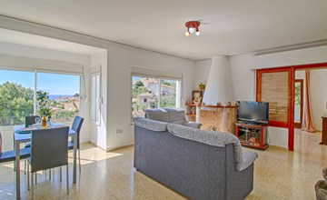 Mimose 2