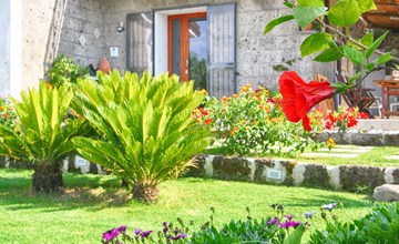 "Villa Flore" Sorrent und Amalfiküste 3