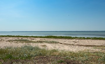 „Jaike“ – 350 m vom Meer entfernt auf Fünen 3