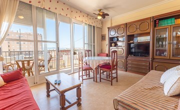 Pet friendly apartment 3