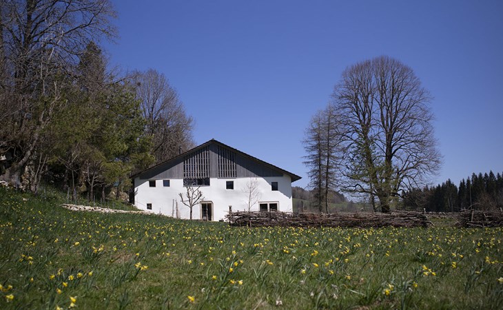 Wohnung - Nr. 5 1