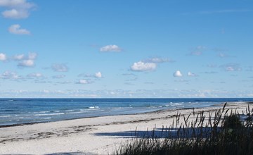 "Adelbrand" - 400 meter van de zee in Bornholm 3
