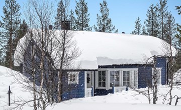 Das blaue Haus 2
