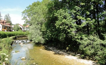 Saine Montagne du Jura mit Spa Sauna Fluss 3