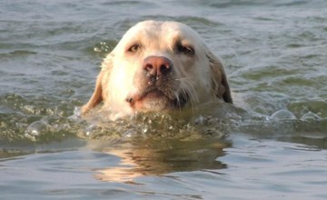 Villa Mönchgut Binz 2