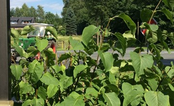 An der Königstrasse 2