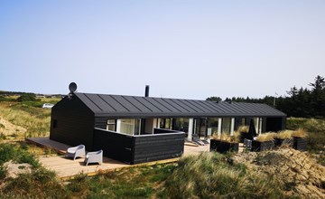 "Darla" - 375m from the sea in NW Jutland 3