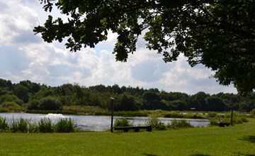 "Asulf" - 31km from the sea in Western Jutland 2