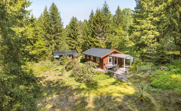 Dammeberg (HAL033) 1