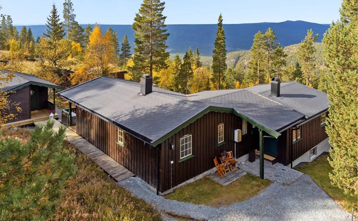 3 bedroom beautiful home in Rendalen 1