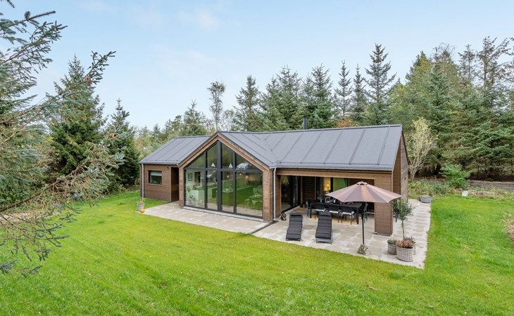 "Tilke" - 400m from the sea in NE Jutland 1