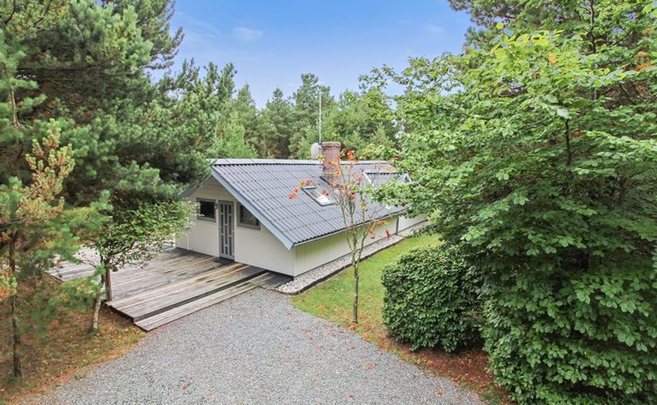 „Lenia“ – 1 km vom Meer entfernt in Westjütland 1