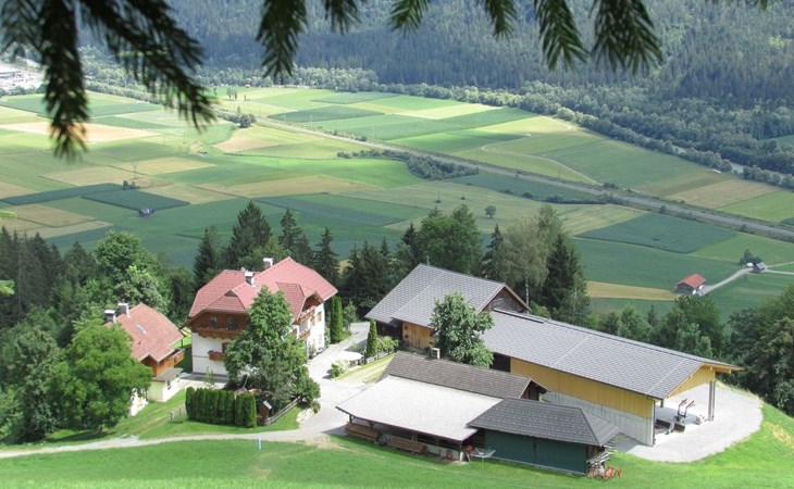 Waldpension in Steinfeld 1