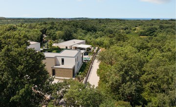 Luxurious home in Buje 3