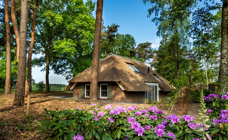 Sprielderbosch 20 Holiday park Veluwe with luxury holiday home 1