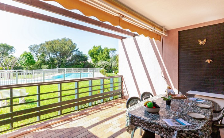 De johannesbroodbomen 1