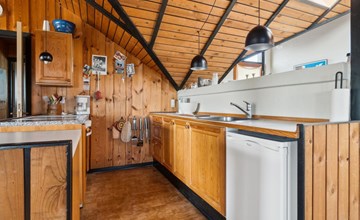 "Henri" - 500m from the sea in NW Jutland 2