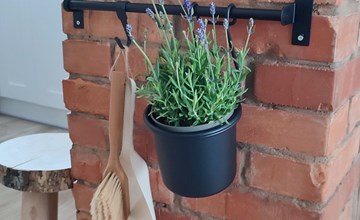 Tor der Berge - Hütte Wolf 2