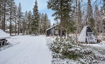 Harpa's hut/honeyberry 3