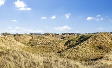 „Bovi“ – 300 m vom Meer entfernt in Nordwestjütland 3