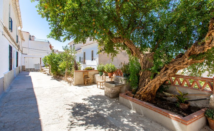 Pomegranate Courtyard 1