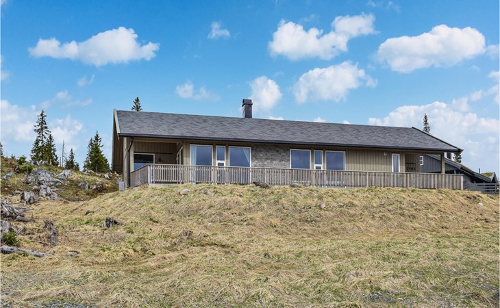 4 bedroom beautiful home in Sjusjøen 1