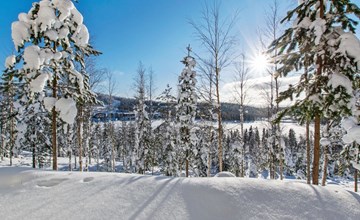 Halfvrijstaande woning Alppikylä 13b 2