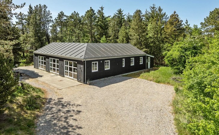 "Svanborg" - 3,7 km van de zee in West-Jutland 1