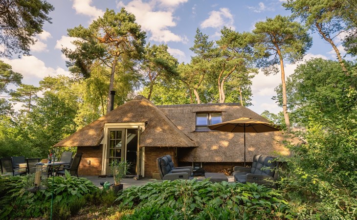 Sprielderbosch 24 Luxury holiday rental in the woody Veluwe region 1