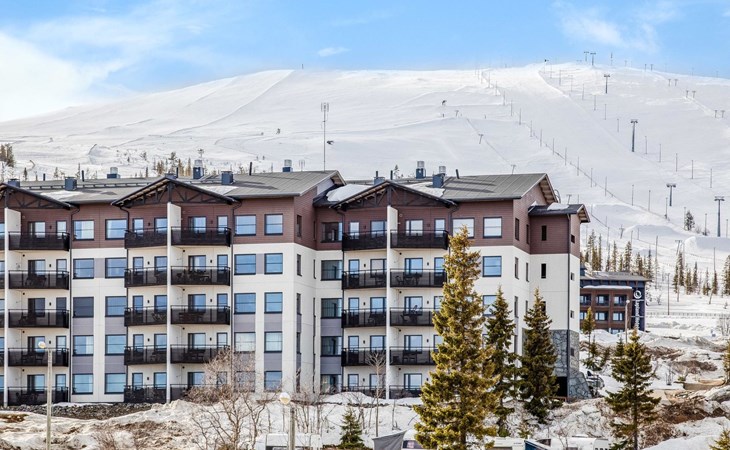 Nordisches Chalet 9102 1