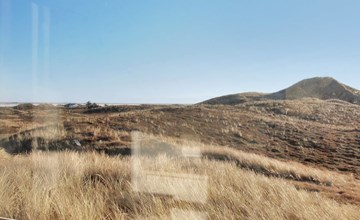 „Swanja“ – vom Meer in Westjütland 2