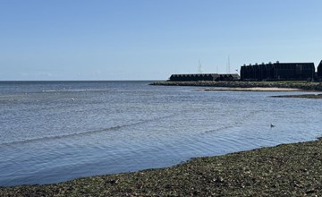 "Elevus" -  from the sea 3