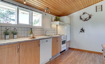 "Jeldrik" - 100 meter van de zee in NO Jutland 2