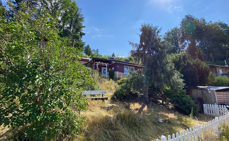 Eifelcottage Rotkehlchen mitten in der Natur 1