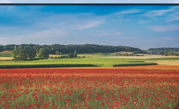 Ferienvilla "Wellness Akkerland" 3