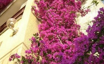 "Maestral Ventus Makarska" 3