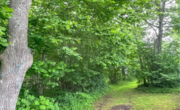 Prachtig huis met 1 slaapkamer in. 2
