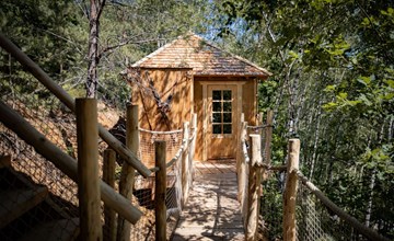 Tree House 1 2