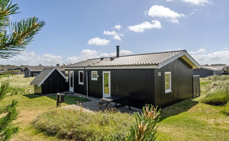 "Usko" - 250m from the sea in NW Jutland 1