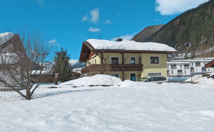 Faulhaber (PET130) 1