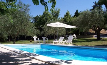 "Solebello Mulberry 3