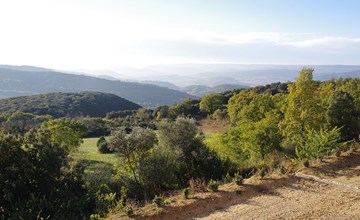 Domaine la Vallée sur Cèze - Cornillon 2