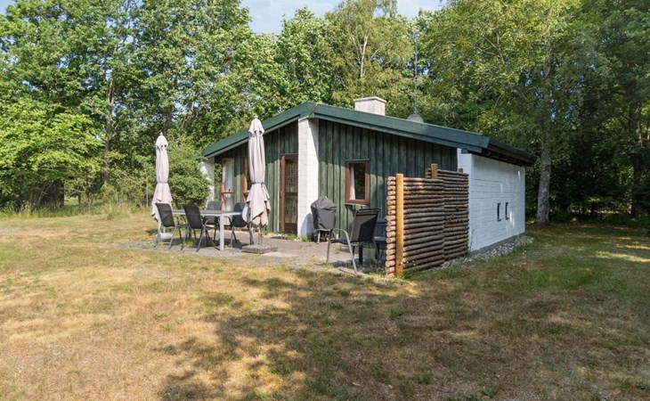 „Matta“ – 800 m vom Meer entfernt in Nordostjütland 1