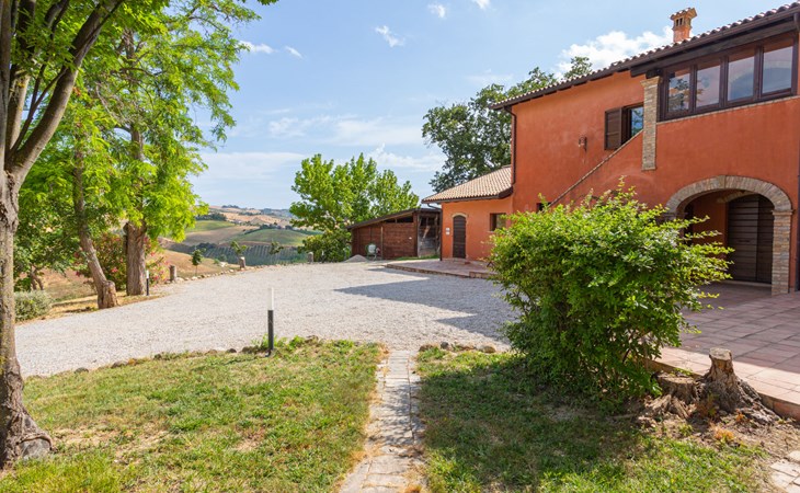 Die zwei Hainbuchen 1