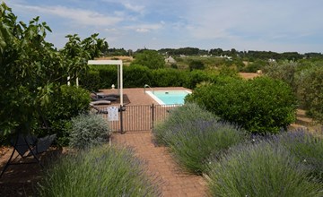 Wunderschönes Ferienhaus in Martina Franca 3